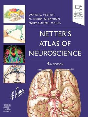 دانلود کتاب Netter's Atlas of Neuroscience 4th Edition